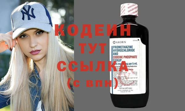 винт Абаза