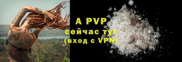 винт Абаза