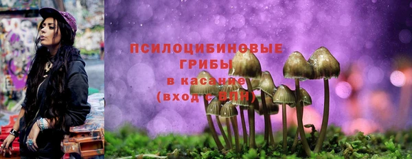 винт Абаза