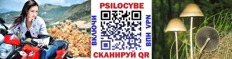 Псилоцибиновые грибы Psilocybe  ссылка на мегу   Гусиноозёрск 